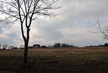 Feld an der Breitenheider Straße - Karolina Schmidt