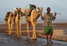 pressebild-afrika-highlights-karawane-danakil-athiopien - Roland Marske/Jules Verne Berl