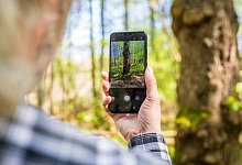 Smartphone - Foto: Moritz Frankenberg/dpa