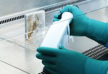 Reinigung mit Handschuhen - Foto: Bernd Roselieb/Stiftung Warentest/dpa-tmn