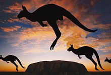 Australien - Roland Marske