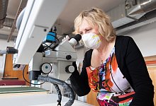 Kupferstich-Kabinett - Foto: Sebastian Kahnert/dpa-Zentralbild/dpa