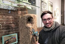 Unter Lippe: Fabian Fester - Freya K&ouml;hring