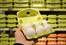 Eier - Foto: Julian Stratenschulte