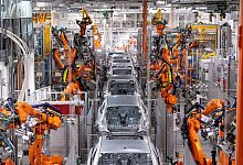 Wachstum in Deutschland - Foto: Sven Hoppe/dpa