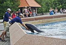Marineland - Randy Risling/Toronto Star/Zuma Press/dpa
