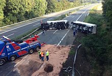 Umgekippt - FOTO: MARC K&Ouml;PPELMANN