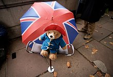 Paddington-Teddy - Andreea Alexandru/AP/dpa