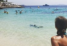 Dieses Bild nahmen Urlauber am Strand auf - privat