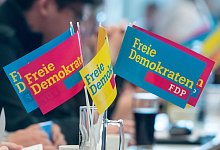 FDP - picture alliance / Armin Weigel/dpa