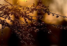 Wetter in Nordrhein-Westfalen - Rolf Vennenbernd/dpa