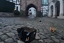 20250102_083438-1 - 1 - 1 - Marianne Schwarzer