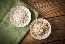 Graupen - Christin Klose/dpa-tmn