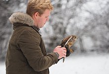 Falkner rettet Turmfalke - Michael Pitt