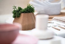 Blumentopf von Migration of Matter Studio - Franziska Gabbert/dpa-tmn