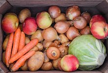 Gem&uuml;se - Foto: Patrick Pleul/zb/dpa