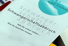 Informationen &uuml;ber Abtreibungen - Foto: Jens B&uuml;ttner/Symbolbild