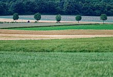 Wetter in Nordrhein-Westfalen - Henning Kaiser/dpa