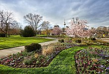 Luisenpark - Daniel Lukac/BUGA /dpa-tmn