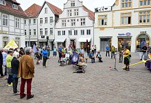 Klima-Aktivisten - Nicole Ellerbrake