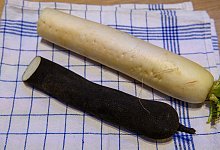 Schwarzer Rettich - Klaus-Dietmar Gabbert/dpa-tmn