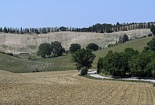 Strade Bianche - Foto: Dirk Waem/BELGA/dpa