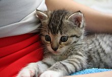 Impfung nicht n&ouml;tig - Foto: Philipp Brandst&auml;dter/dpa