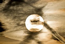 Flugzeug am Himmel - Foto: Frank Rumpenhorst