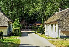 Reetdachh&auml;user in Frederiksoord - Bernd F. Meier/dpa-tmn