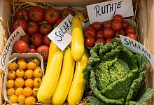 Bio-Gem&uuml;se wird auf der Messe Biofach gezeigt. - Daniel Karmann/dpa