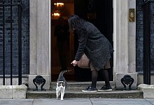 Kater Larry - Yui Mok/PA Wire/dpa