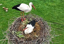 dji_0029 - 1 - Robin Jähne