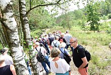 Augustdorfer D&uuml;nenpfad - nic_2988 - Archivfoto: Nicole Ellerbrake