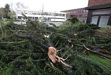 Unwetter bei M&ouml;nchengladbach - David Young/dpa