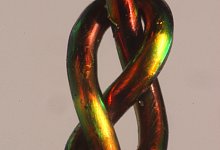 Achterknoten - Foto: Joseph Sandt/-/dpa