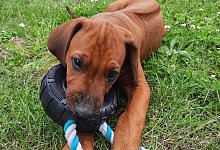 bakari - 1 - Meike Groppe