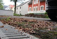 Dt_B&auml;ume st&ouml;ren - Jana Beckmann