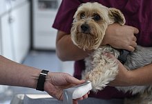 Tier-Notdienst - Foto: Ina Fassbender/dpa-tmn