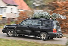 Auto transportiert einen Weihnachtsbaum auf dem Dach - Patrick Pleul/dpa/dpa-tmn