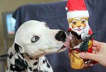 Schokolade verboten! - Foto: Marion Gr&ouml;ning