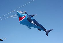 Drachen in Hai-Form - Ralf Meerk&ouml;tter