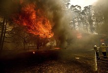 Extremer Einsatz - Foto: Noah Berger/AP/dpa
