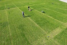 Akku-Rasenmäher im Feld-Test - Stiftung Warentest/dpa-tmn