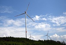 Wald-Windpark in Bad Berleburg - Federico Gambarini/dpa