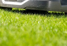 Ein M&auml;hroboter auf einem Rasen. - Foto: Benjamin Nolte/dpa-tmn