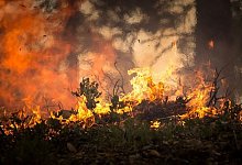 Waldbrand - Symbolbild: Pixabay