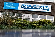 Zoofachgesch&auml;ft Zoo Zajac in Duisburg - Christoph Reichwein/dpa