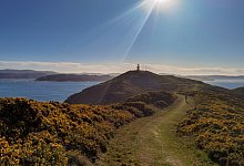 Wer nach Neuseeland reist, braucht ab dem 20. Juni keinen negativen Corona-Test mehr bei der Ankunft vorlegen. - Guo Lei/XinHua/dpa