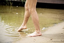 Erste Runde im See - Foto: Christin Klose/dpa-tmn