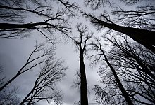 Wetterausblick zum Start in die neue Woche - Henning Kaiser/dpa